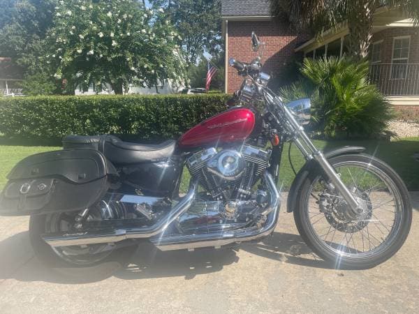 2005 sportster custom 1200